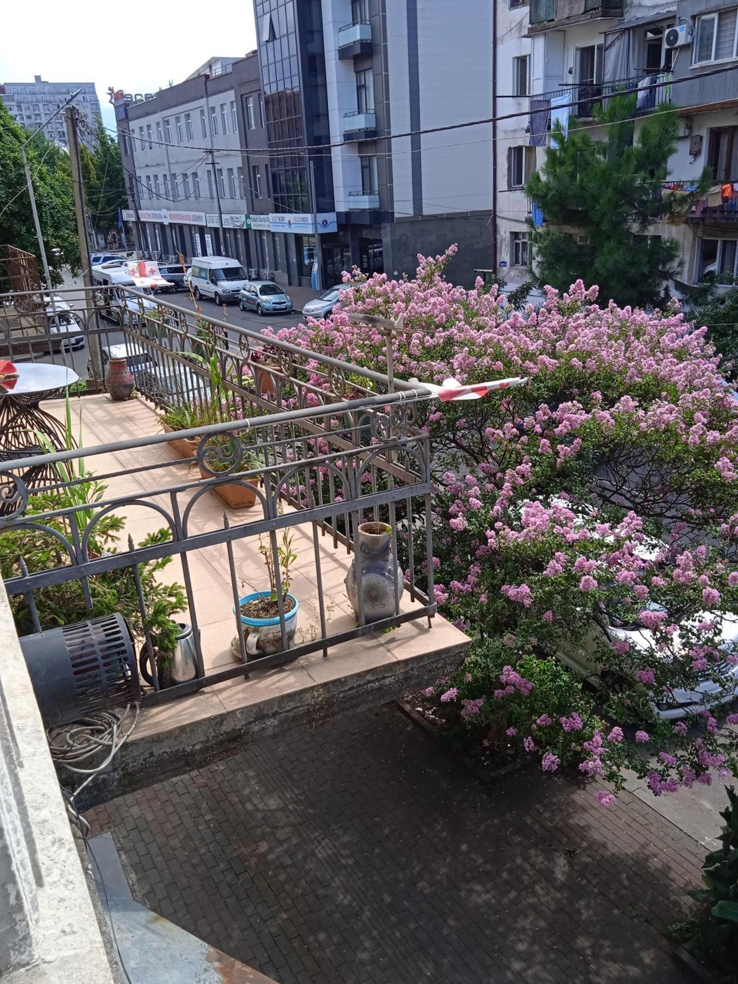 Apartment Maisi บาทูมิ ภายนอก รูปภาพ